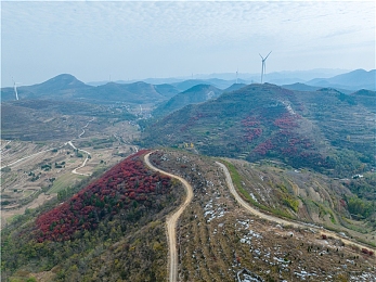 穿丝质胸罩用羽毛挠胸,丝胸配羽毛，新潮流来袭-3