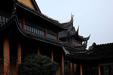 秘塔被焯出白水之后多久能恢复,秘塔恢复秘诀，口感嫩滑的秘密-2