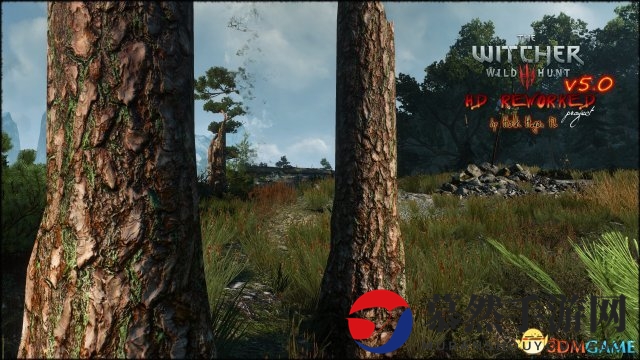 《巫师3》高清MOD对比截图 画质超越官方4K效果