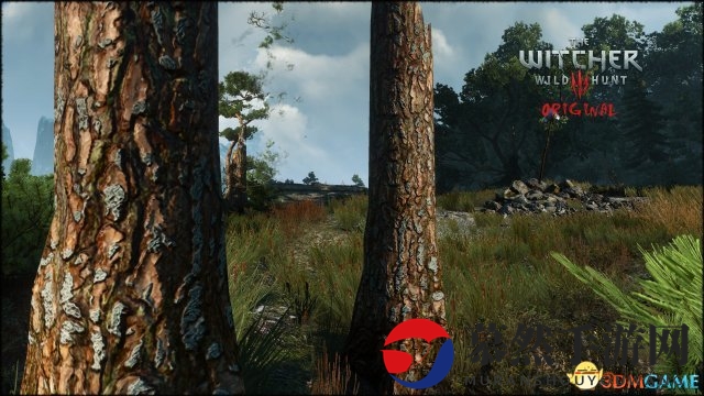 《巫师3》高清MOD对比截图 画质超越官方4K效果