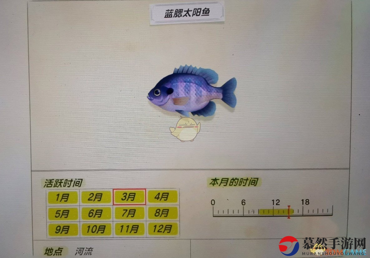 《集合啦！动物森友会》蓝腮太阳鱼活跃月份及活跃地点分享