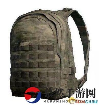《绝地求生》背包防弹衣新皮肤 太丑了不忍直视