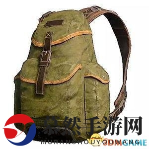 《绝地求生》背包防弹衣新皮肤 太丑了不忍直视