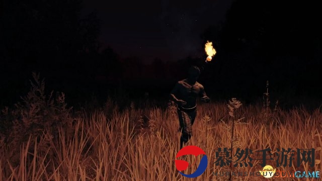 《领地人生：MMO》新预告视频 恐怖黑夜吓尿玩家 