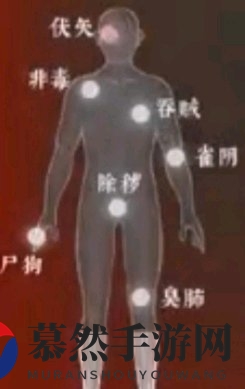 《探灵笔记》灵探基础魂值介绍