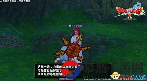 《勇者斗恶龙X》今日更新2.5新版 80级装备解禁