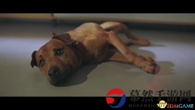 育碧《孤岛惊魂5》新实景宣传视频展示乖乖狗狗