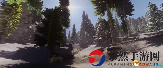 天际3D树木mod为《上古卷轴5：天际》增色不少