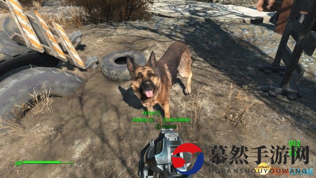 辐射4 PC版最高画质
