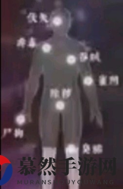 《探灵笔记》灵探基础魂值介绍