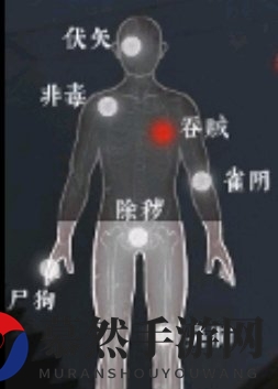 《探灵笔记》灵探基础魂值介绍