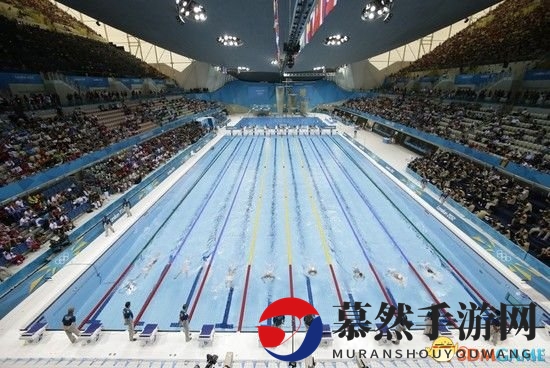 《苹果现金储备惊人》可填满93奥运泳池
