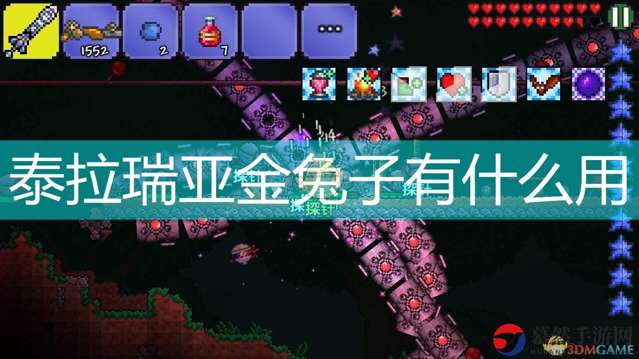 《泰拉瑞亚》中金兔子有何实用价值？