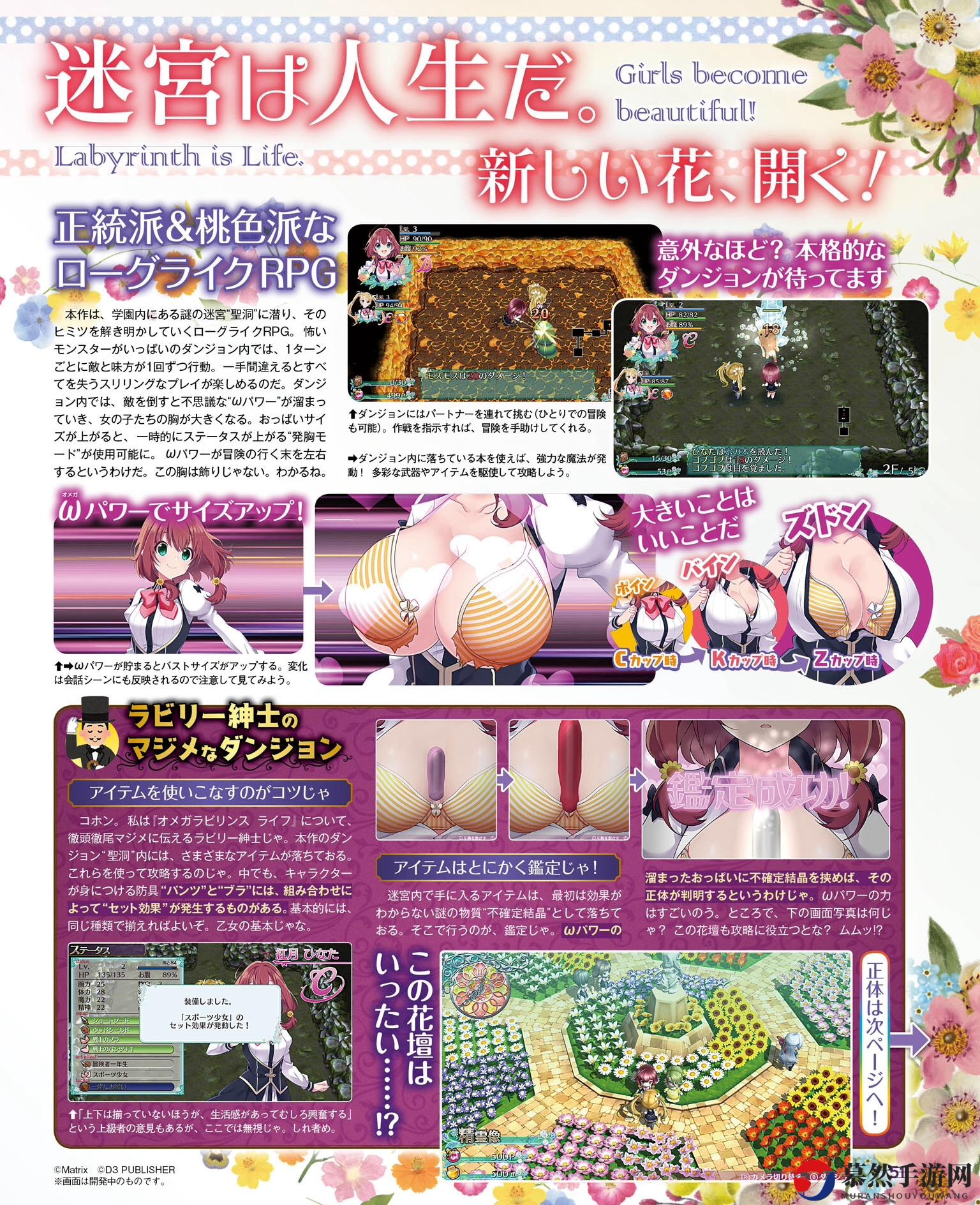 Switch迷宫RPG《欧米伽迷宫：人生》妹子胸部增加新功能