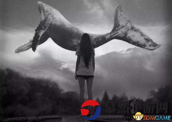 英国惊现“死亡网游”，130名俄青少年或受影响