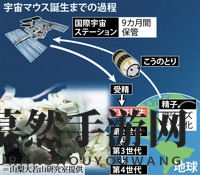 首探太空9月归来，日本迎来首只宇宙鼠！