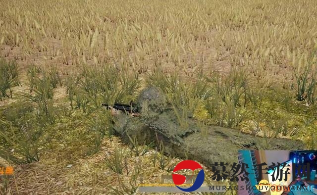 3dmgame